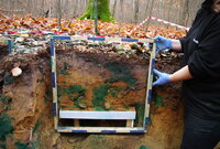 In einer Grube im Wald sind die Bodenschichten sichtbar, es wird ein Messquadrat vor das Profil gehalten.