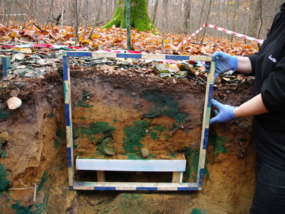 In einer Grube im Wald sind die Bodenschichten sichtbar, es wird ein Messquadrat vor das Profil gehalten.