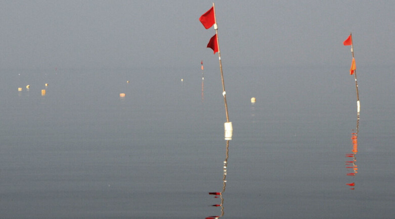 Stellnetze im Greifswalder Bodden