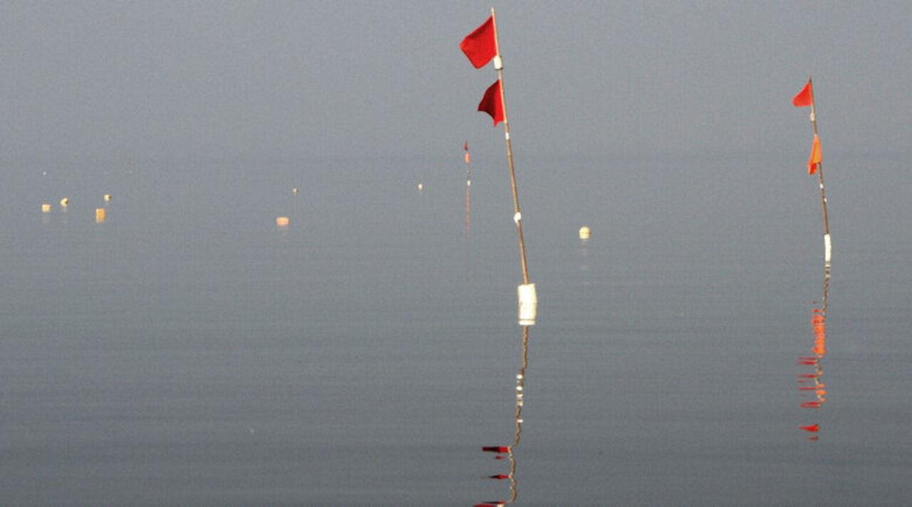 Stellnetze im Greifswalder Bodden