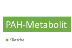 Basisdaten: PAH-Metabolit im Meeresfisch