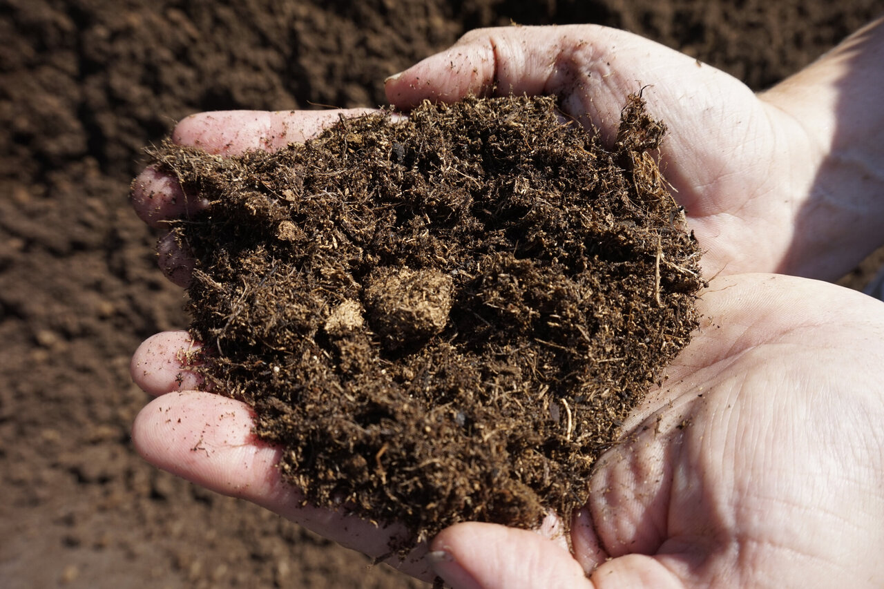 torffreies Kultursubstrat