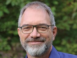 Where have all the insects gone?