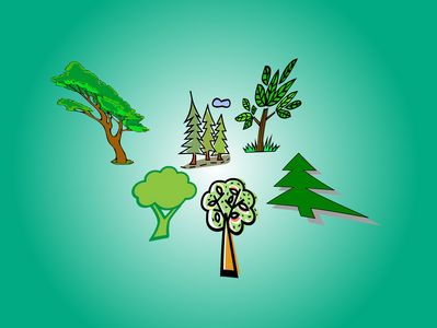 Sechs gezeichnete verschiedene Bäume vor einem grünen Hintergrund