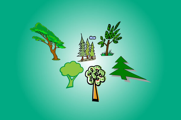 Sechs gezeichnete verschiedene Bäume vor einem grünen Hintergrund