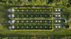 Kohlenstoffkreislauf in verschiedenen Niedermoor-Paludikulturen - CaCyPal