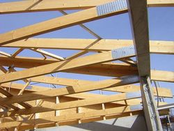 Wood in the construction sector