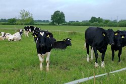 Aktualisierung der Informationsplattform www.weide-parasiten.de