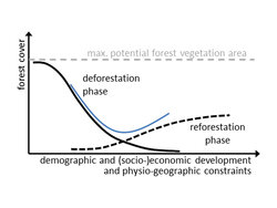 Global deforestation patterns