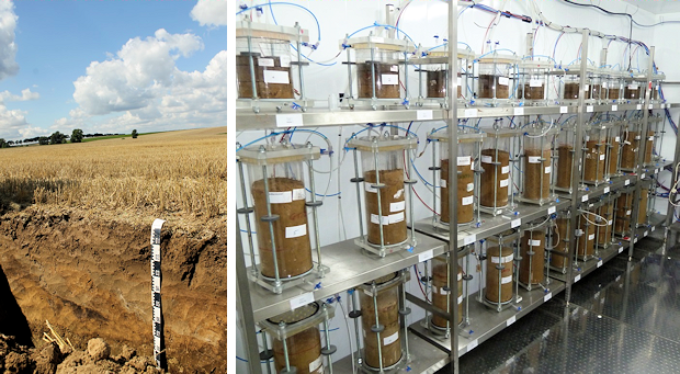 Ein Bodenprofil auf einer Versuchsfläche (links) und die Mikrokosmenanlage des Institutes.