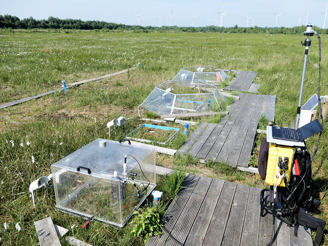 Treibhausgasmessung auf einer der Torfmooskultivierungsflächen im Emsland. Eine passive Erwärmung einzelner Plots wurde durch nach oben hin offene Kunststoffkammern (Open Top Chamber) erreicht. Treibhausgasmessung auf einer der Torfmooskultivierungsflächen im Emsland. Eine passive Erwärmung einzelner Plots wurde durch nach oben hin offene Kunststoffkammern (Open Top Chamber) erreicht.