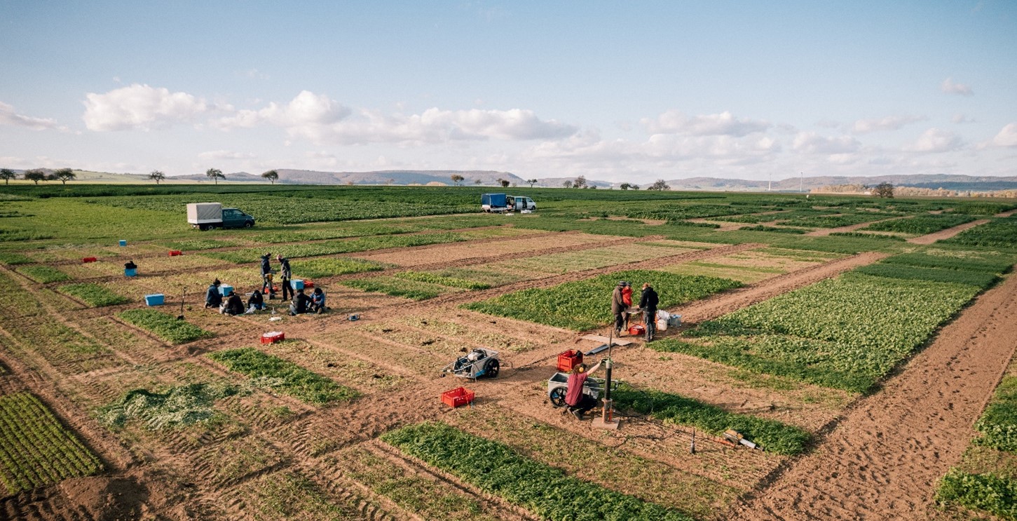 Das ganze Team zusammen bei der Beprobung eines Parzellenversuches