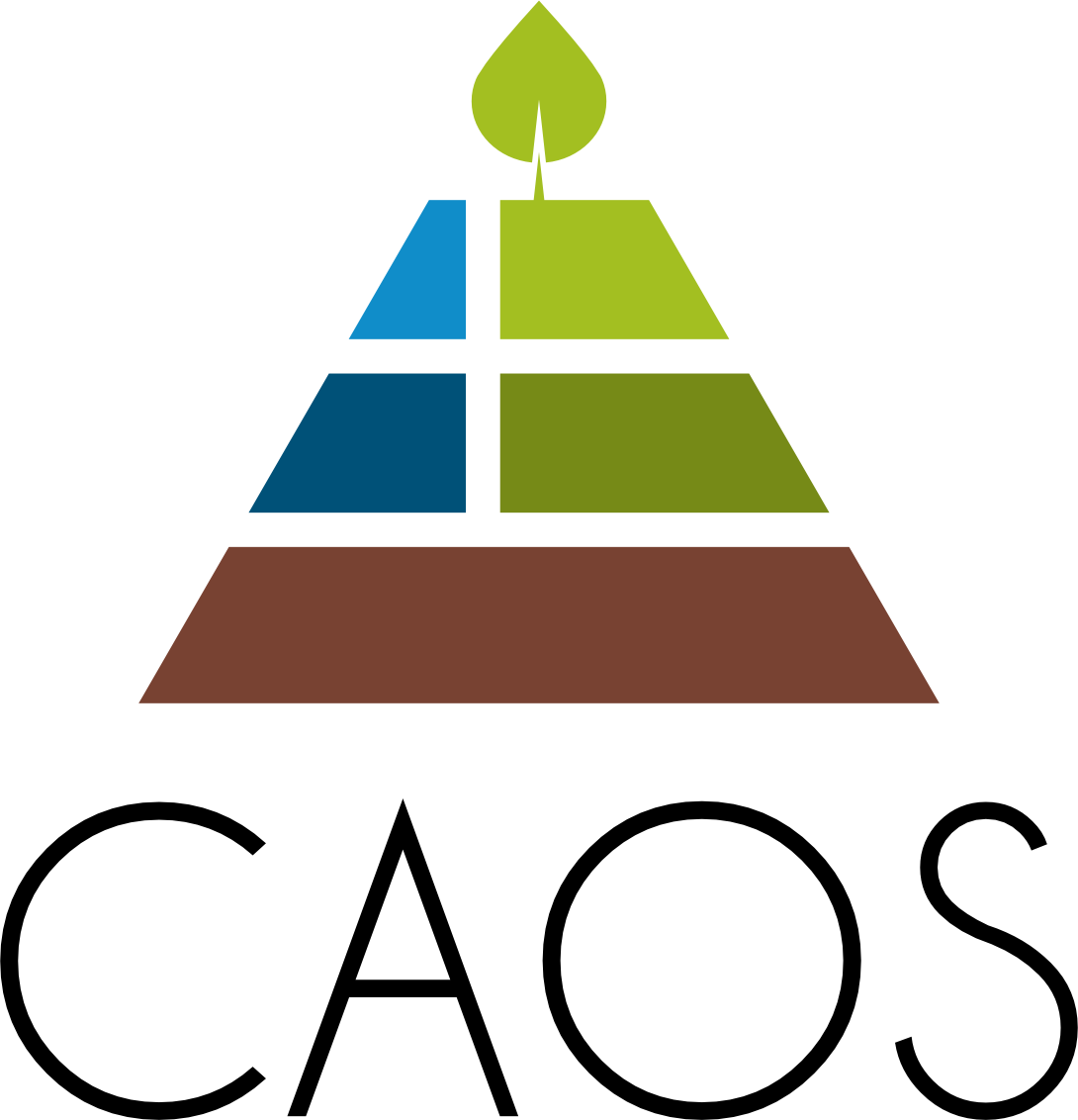 CAOS - Climate Smart Agriculture on Organic Soils, project logo