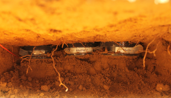 Three mesocosms installed in 70 cm depth in the subsoil of the experimental site Braunschweig