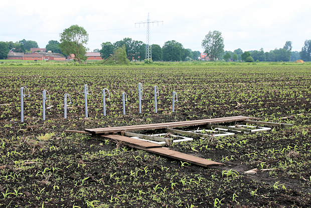 Dieses entwässerte Niedermoor wird zum Anbau von Mais genutzt. Die aeroben Bedingungen haben zu einer starken Degradierung des Torfes geführt.