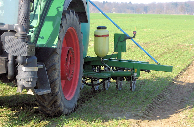 Injection of liquid fertilizer during CULTAN fertilization to wheat on sandy soil.