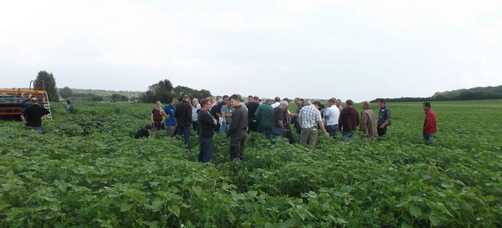 Field trials Field trials