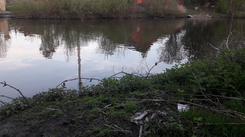 Vorkommen von Kunststoffen in limnischen Lebensräumen (Fluss) Vorkommen von Kunststoffen in limnischen Lebensräumen (Fluss)