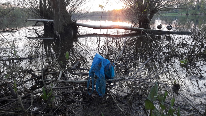 Vorkommen von Kunststoffen in limnischen Lebensräumen (See) Vorkommen von Kunststoffen in limnischen Lebensräumen (See)