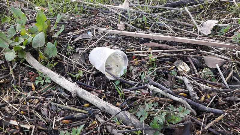 Vorkommen von Kunststoffen in terrestrischen Lebensräumen (Boden) Vorkommen von Kunststoffen in terrestrischen Lebensräumen (Boden)
