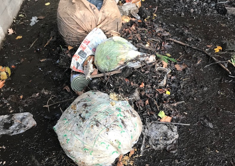 Vorkommen von Kunststoffen in terrestrischen Lebensräumen (Kompost) Vorkommen von Kunststoffen in terrestrischen Lebensräumen (Kompost)