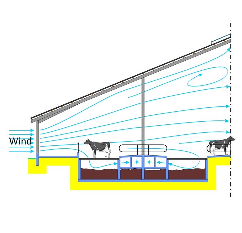 Flow through a naturally ventilated cattle stable with partial underfloor suction