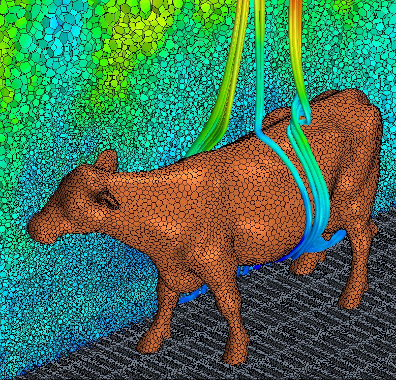 Simulation natürlicher Konvektionsströmung um eine Kuh