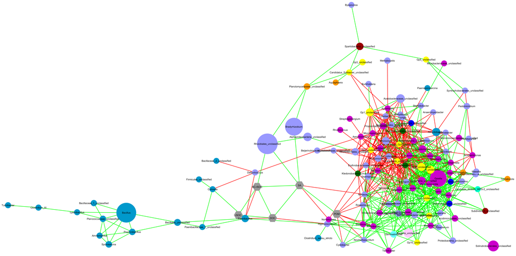 Microbial networks in soil
