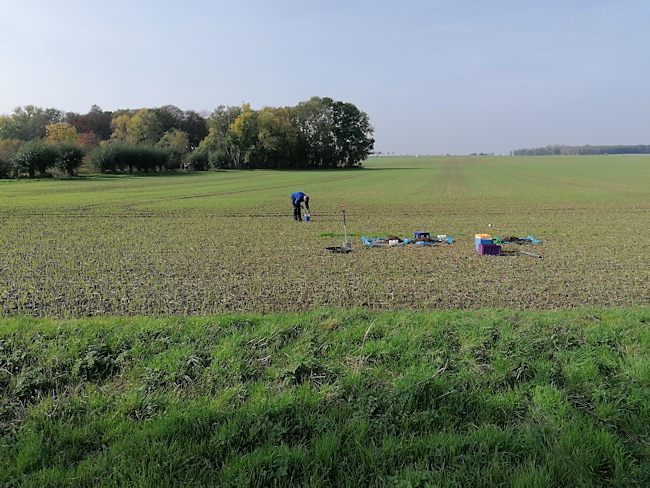 Field sampling to record soil biodiversity