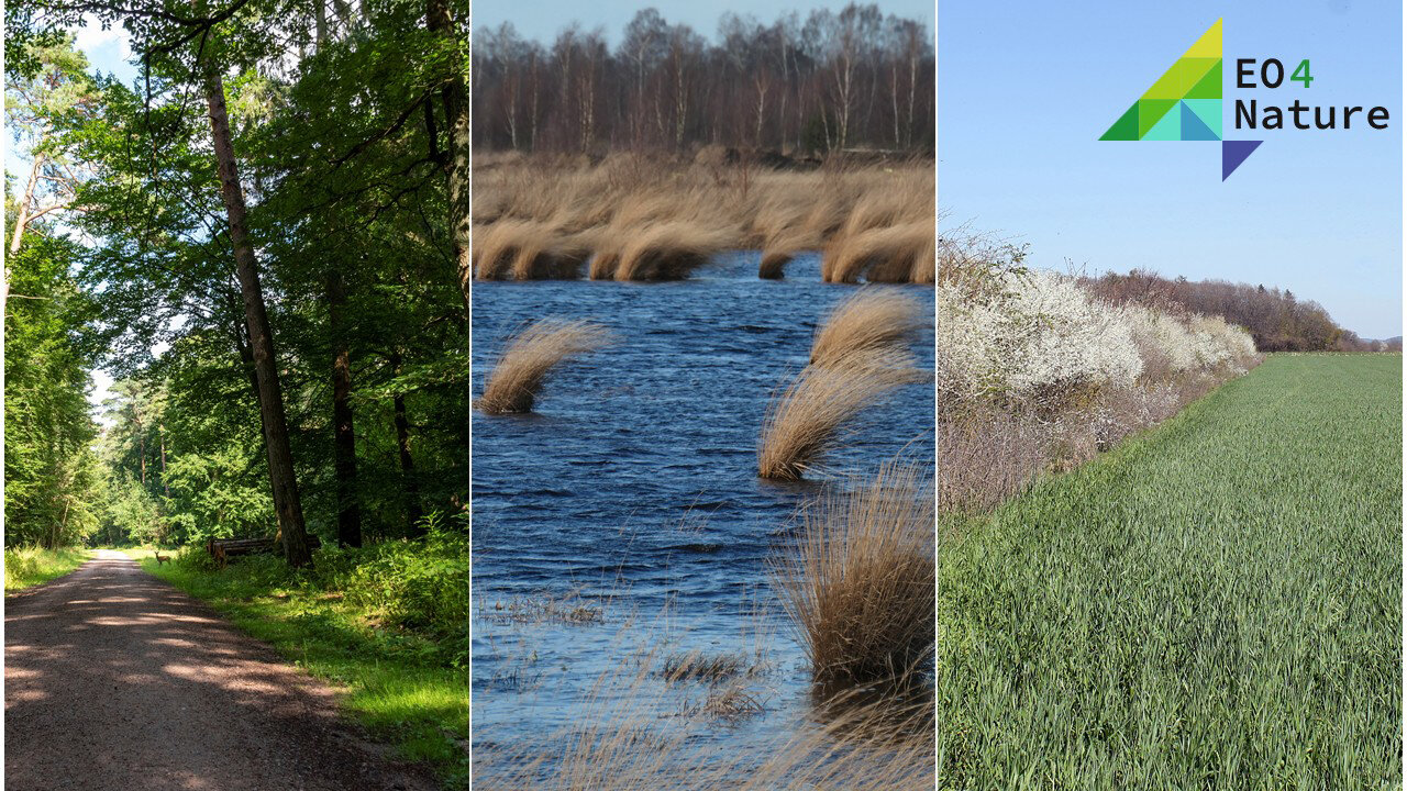 Erdbeobachtung für das Aktionsprogramm Natürlicher Klimaschutz
