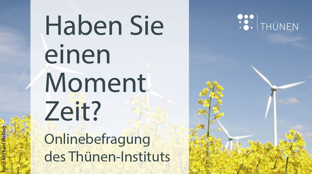 Wind turbines behind a rapeseed field