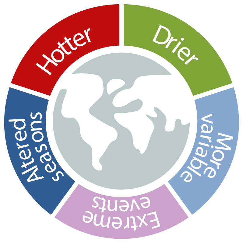 Klimaanpassungsstrategien in Diagrammform dargestellt