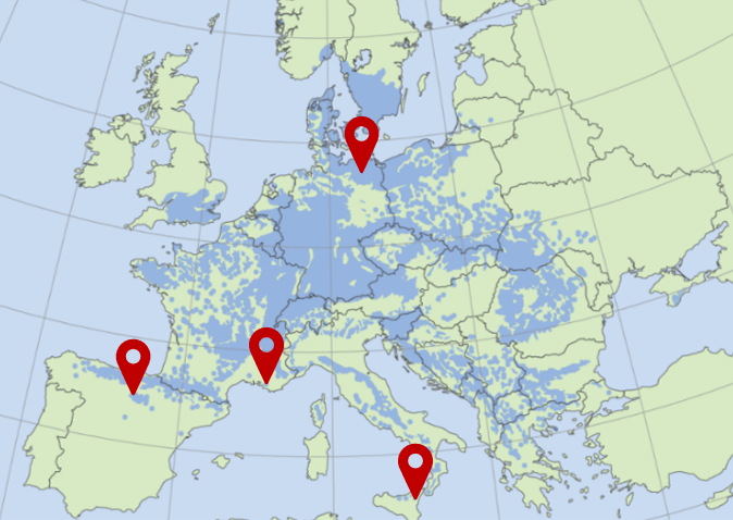Eine europäische Landkarte, in der dunkelblau das Verbreitungsgebiet der Rotbuche markiert ist. Vier rote Markierungen zeigen die Herkünfte der Versuchsbäume.