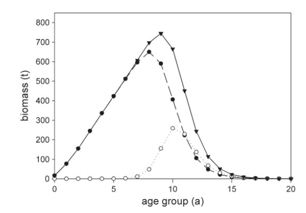 Grafik: Strichzeichnung in schwarz/weiss