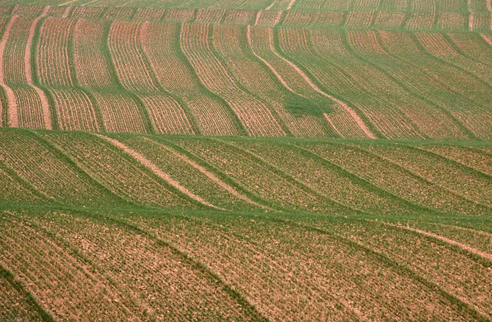 Agrarfläche in hügeliger Landschaft 