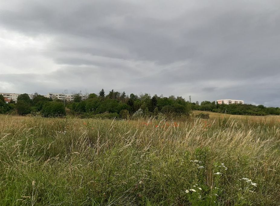 Plattenbauviertel im Hintergrund einer Wiese