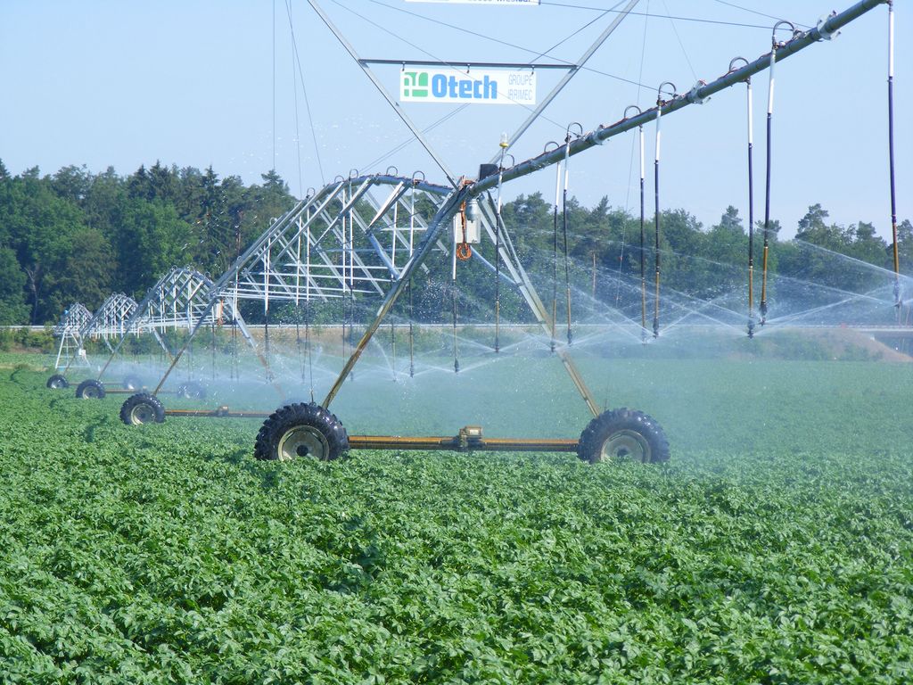 District irrigation using the example of Niendorf