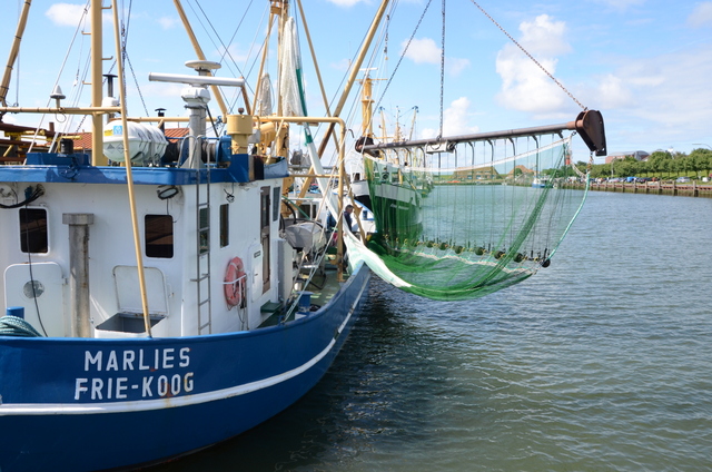Krabbenkutter „Marlies“ im Hafen mit Pulsbaumkurre