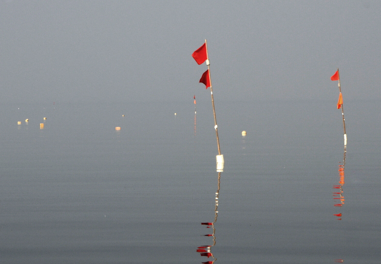 Stellnetze im Greifswalder Bodden