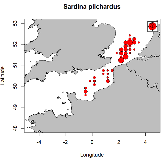 Distribution of sardine larvae