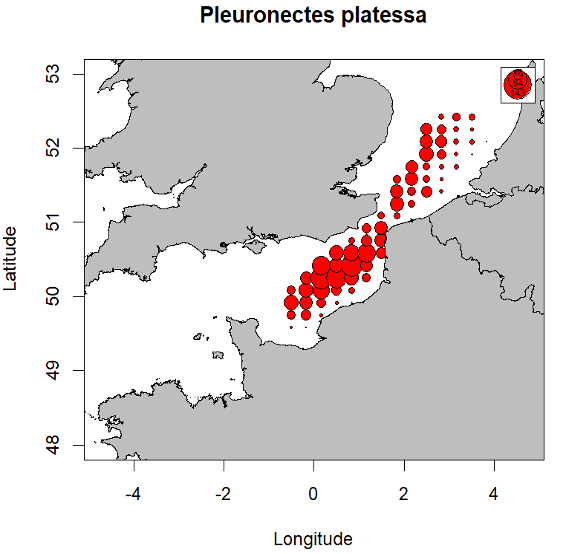 Distribution of plaice larvae