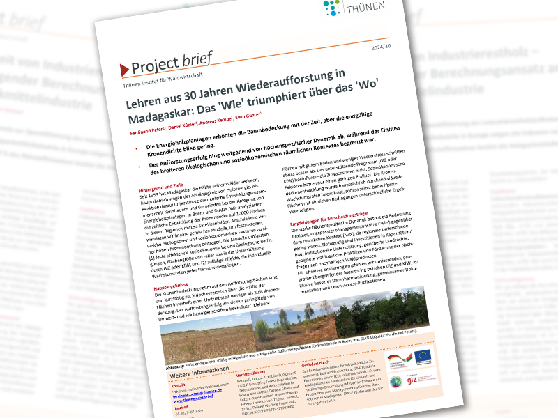 Eine Abbildung des Project brief, soft im Hintergrund Ausschnitte von anderen Project brief.