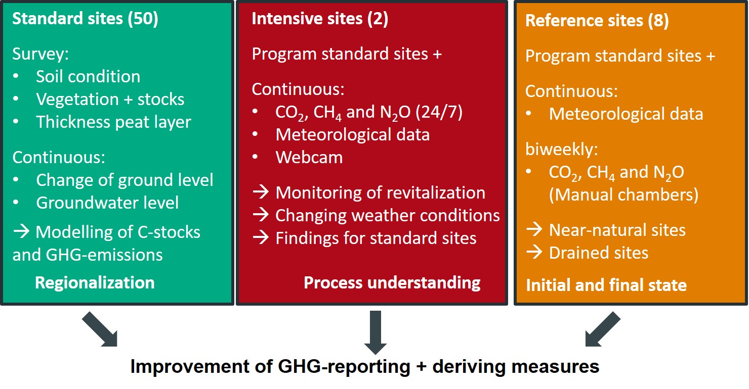 Different types of sites within the peatland monitoring program for forests and performed measurements.