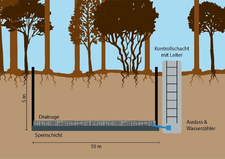 Skizze eine Großlysimeters auf der Intensivmonitoringfläche Britz