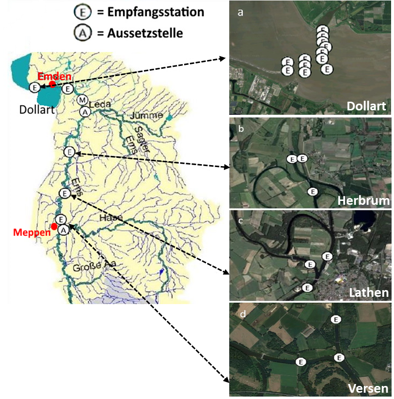 Eine Karte mit zusätzlichen kleinen Satellitenkarten der ausgelesenen Postitionen