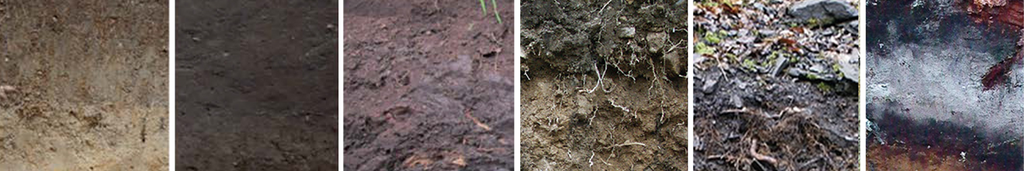 Sechs verschiedene Bodenprofile als Kacheln nebeneinander