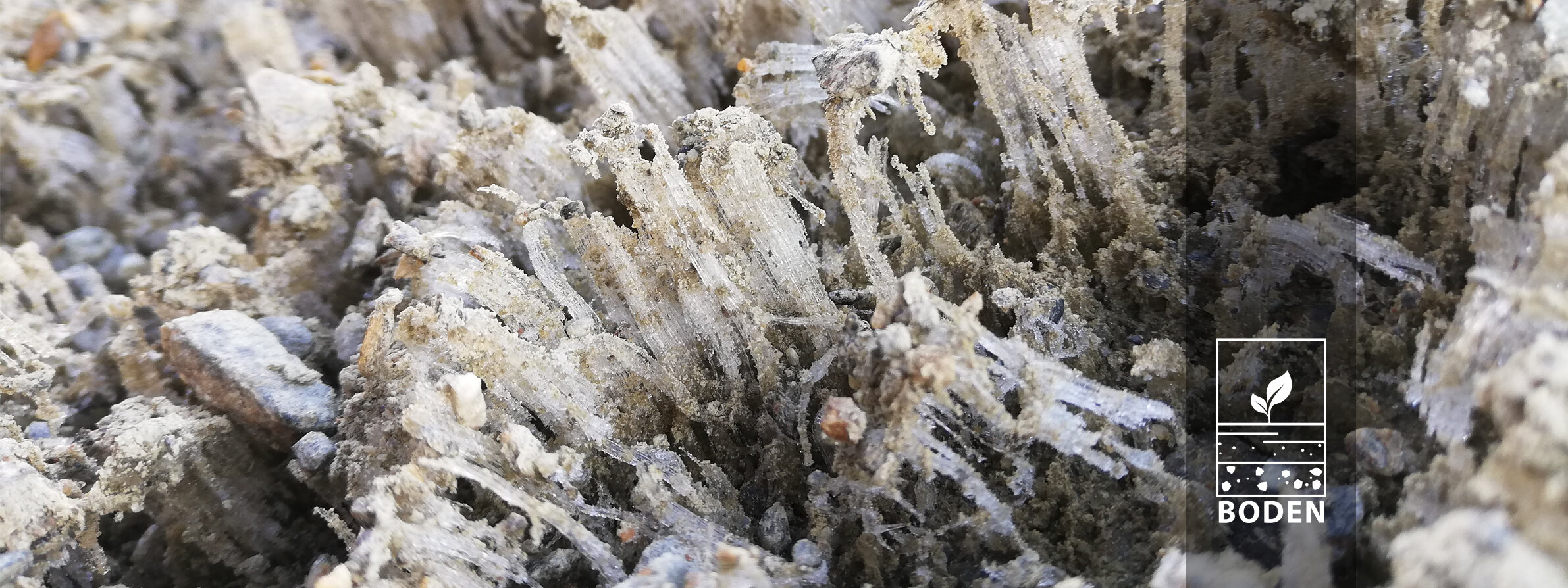 [Translate to English:] 