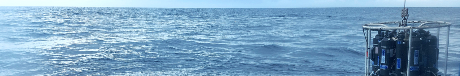 Meer mit Wasserschöpferrosette