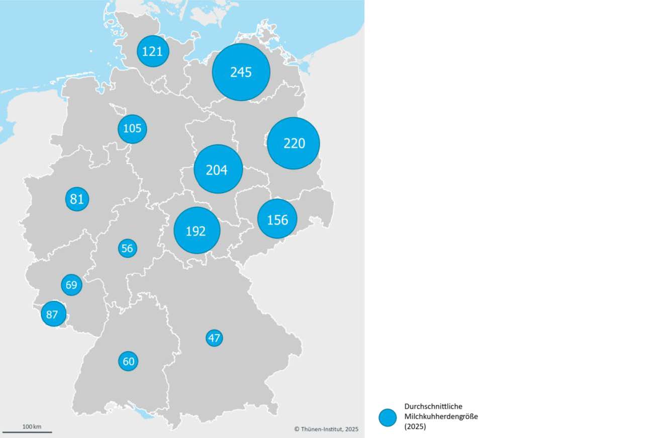 Die Deutschlandkarte zeigt die durchschnittliche Bestandsgrößen in den Bundesländern 2025 durch verschieden große Kreise