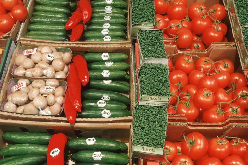 Eine Gemüseauslage im Supermarkt mit Pilzen, Tomaten, Gurken und Kresse